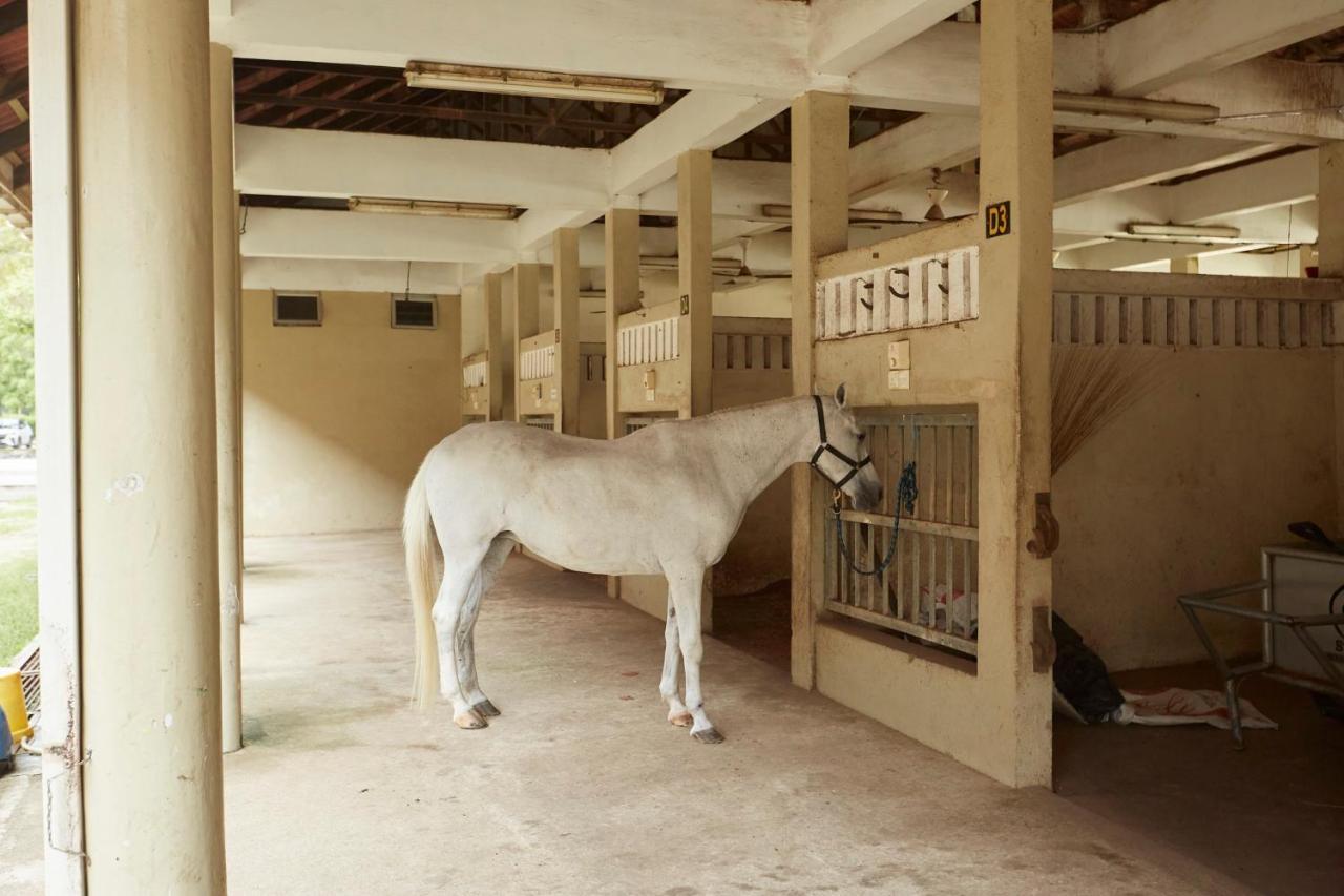 Terengganu Equestrian Resort Kuala Terengganu Eksteriør bilde