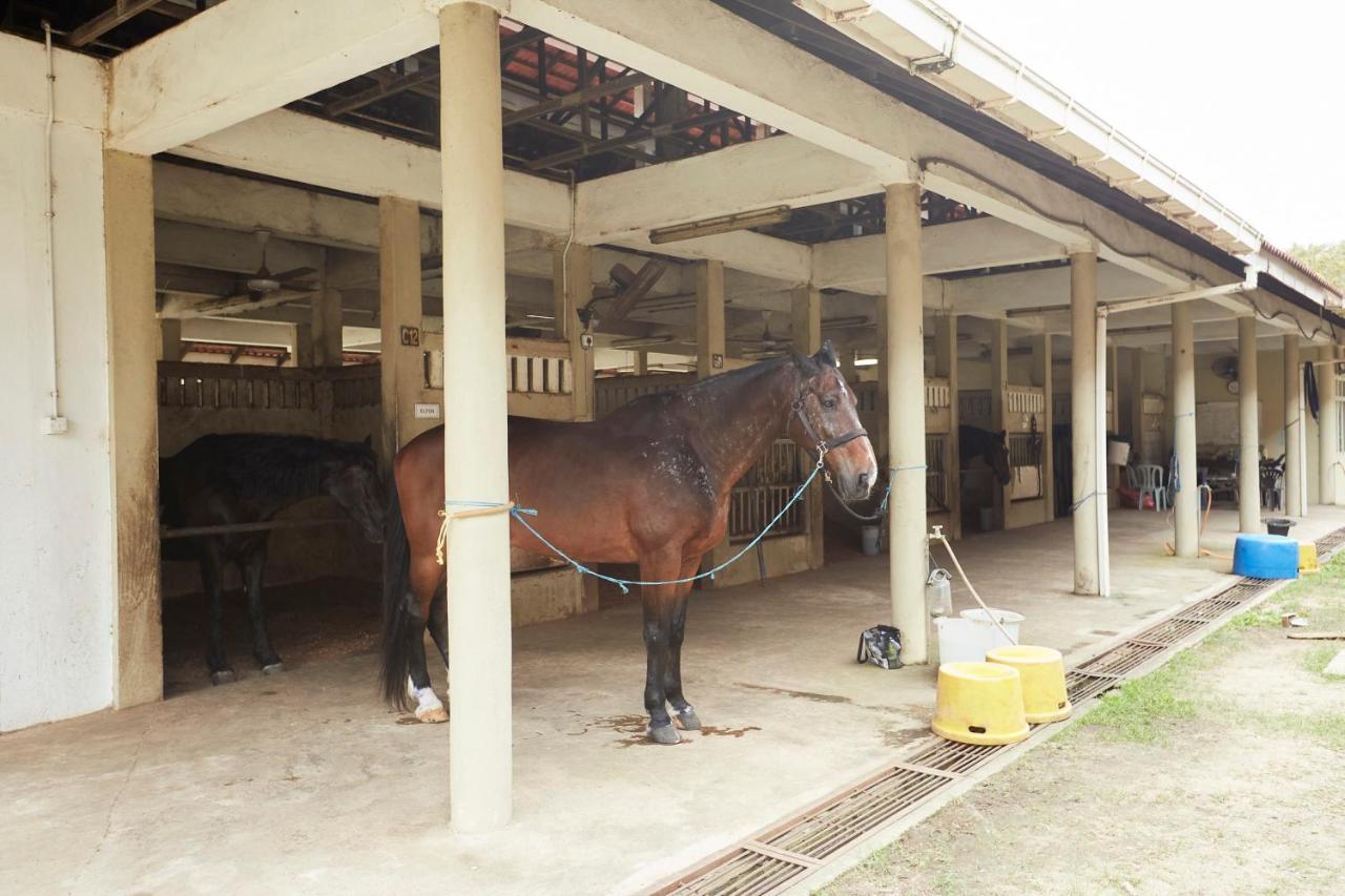 Terengganu Equestrian Resort Kuala Terengganu Eksteriør bilde