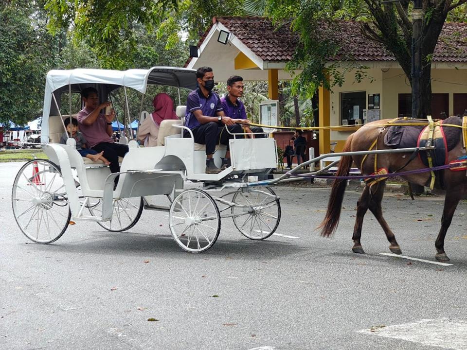 Terengganu Equestrian Resort Kuala Terengganu Eksteriør bilde